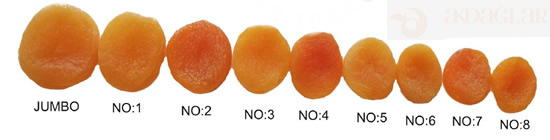 Dried Apricots,Hong Kong FruitsImport price supplier - 21food