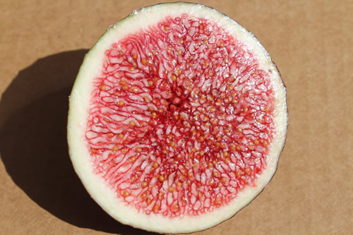 fresh fig slice