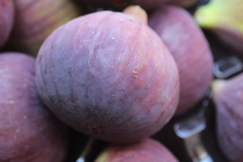 purple fresh fig