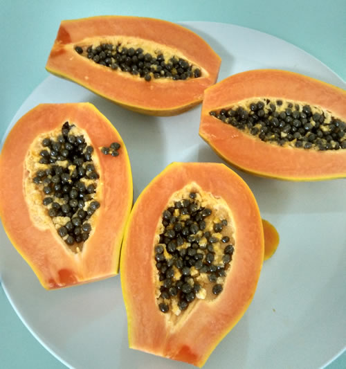 nice fiji papaya