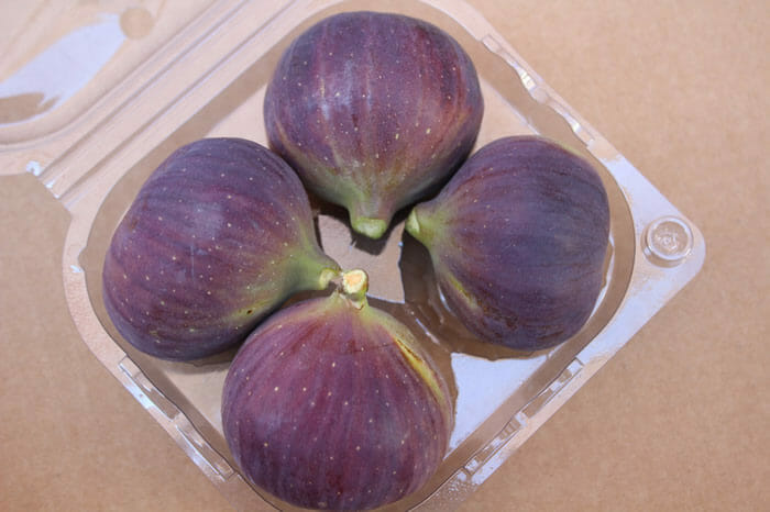 Bilvigo fig 2019